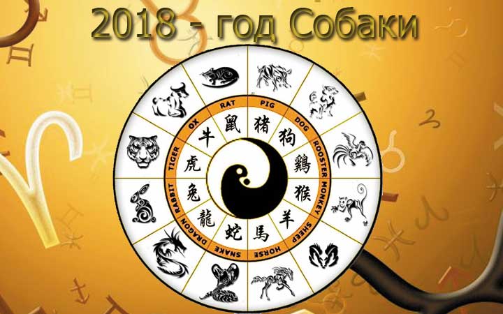 Китайский гороскоп «9 звезд» расскажет все о ваших слабостях.